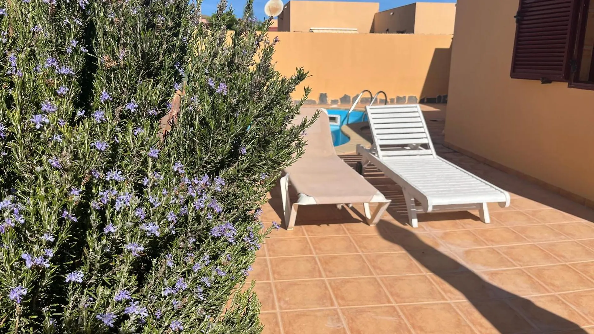 לה אוליבה Villa Nieves 0*, לה אוליבה